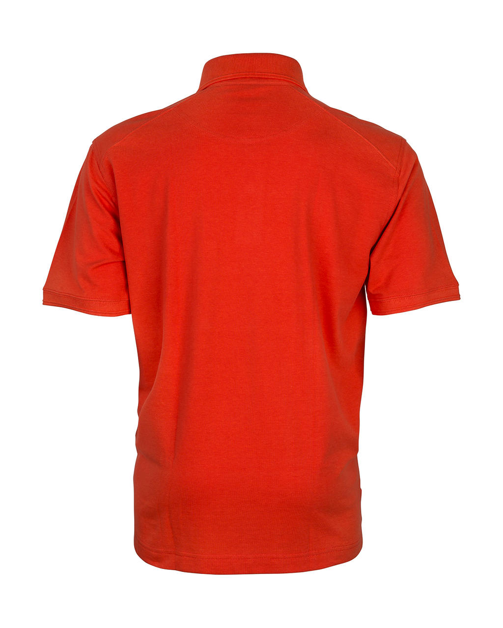 Polo Apex – Image 2